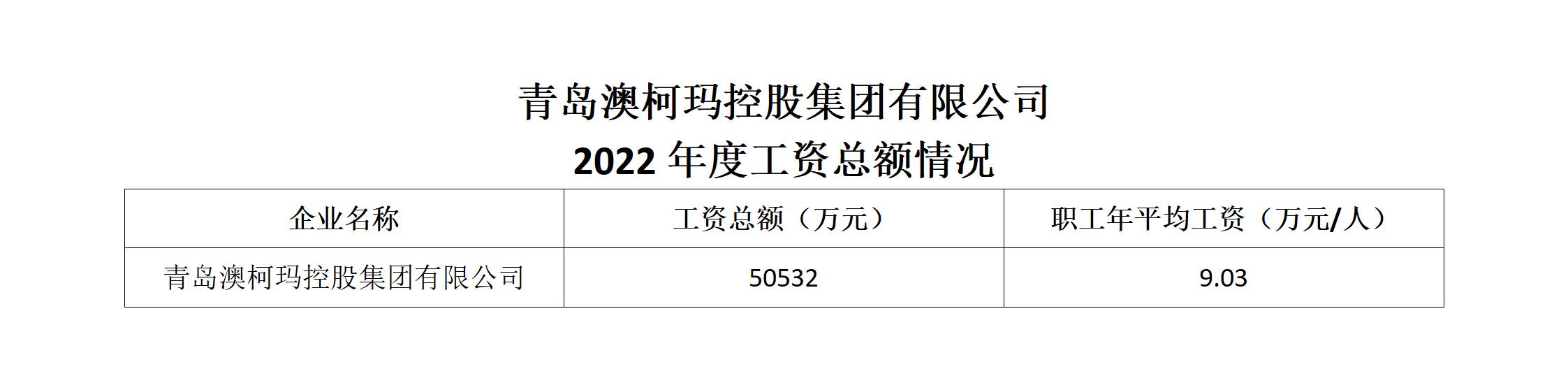 青島澳柯瑪控股集團(tuán)有限公司2022年度工資總額情況.jpg